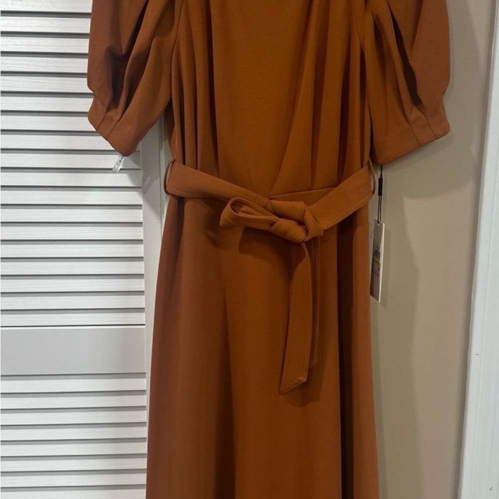Elegant Brown Dress with Belt